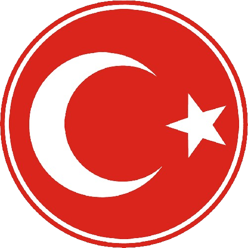 Türkçe
